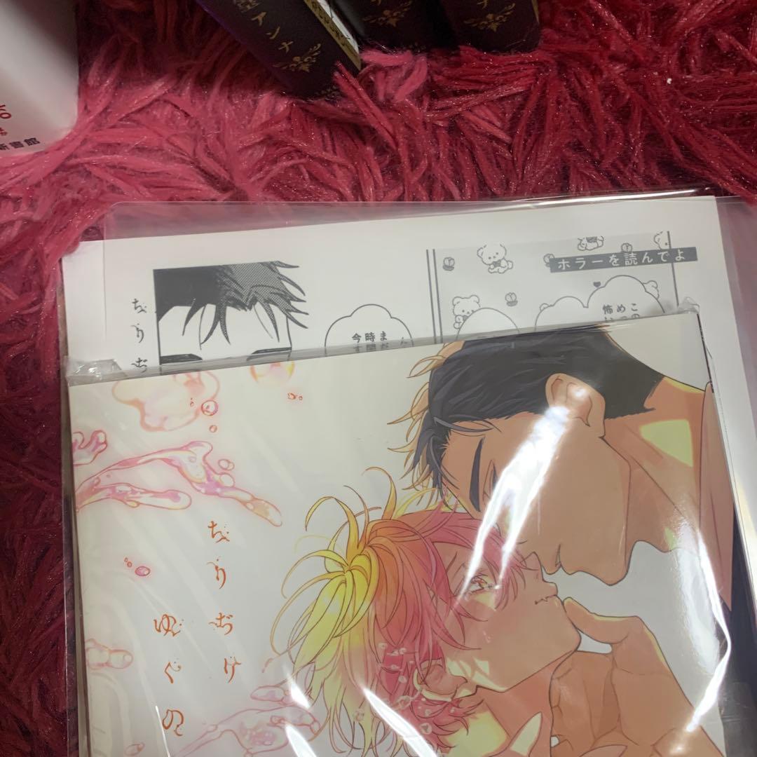 夜画帳 他合計24冊セット