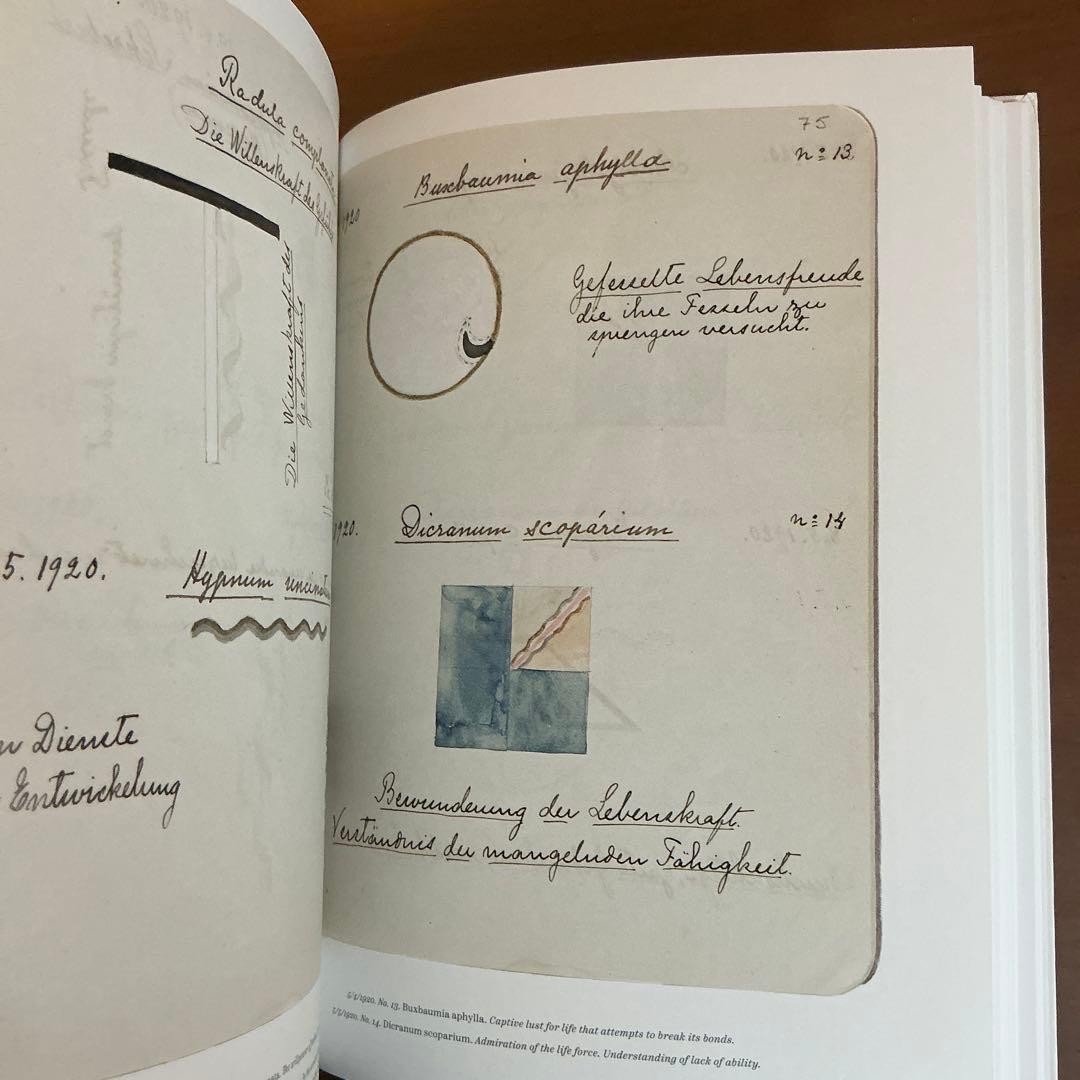 洋書 HILMA AF KLINT Notes and Methods