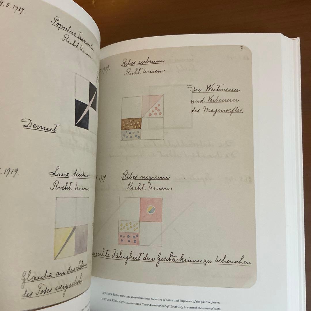洋書 HILMA AF KLINT Notes and Methods