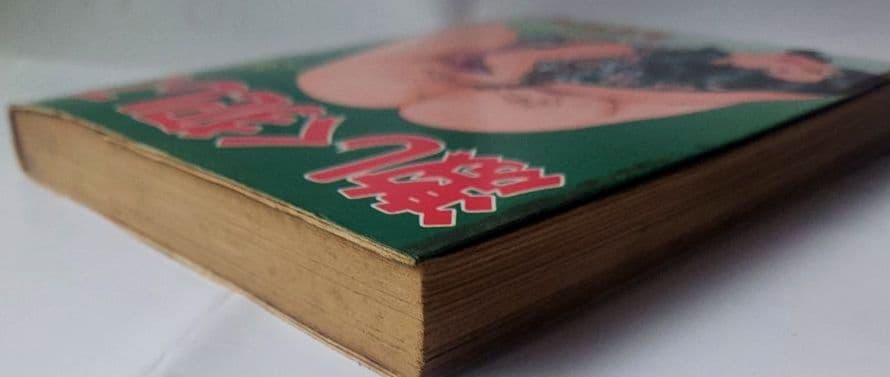 【希少】　激しく犯して 　あがた有為　 JOY COMICS