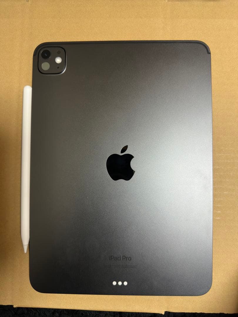 iPad Pro 11インチ (M4)1TB ApplePencil Pro付き