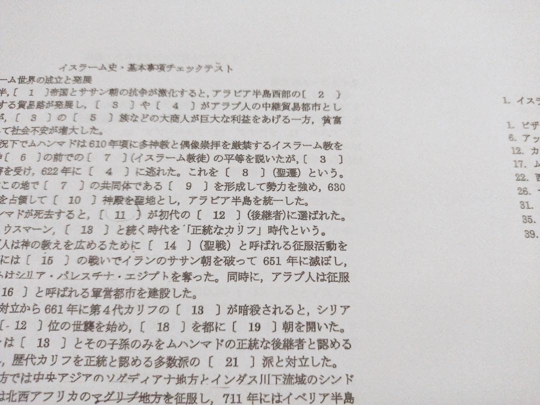 駿台の渡辺幹雄先生の世界史チェックテストフルセット　最上位クラス　河合塾　鉄緑会