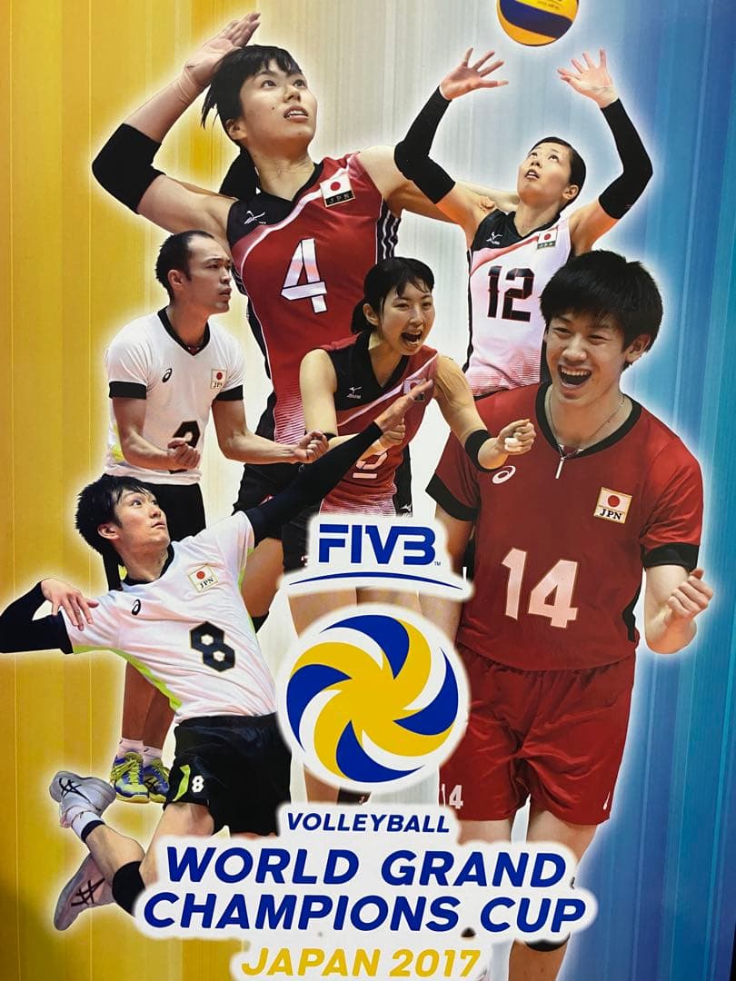 男子バレーボール 龍神NIPPON NEXT4 雑誌 写真集