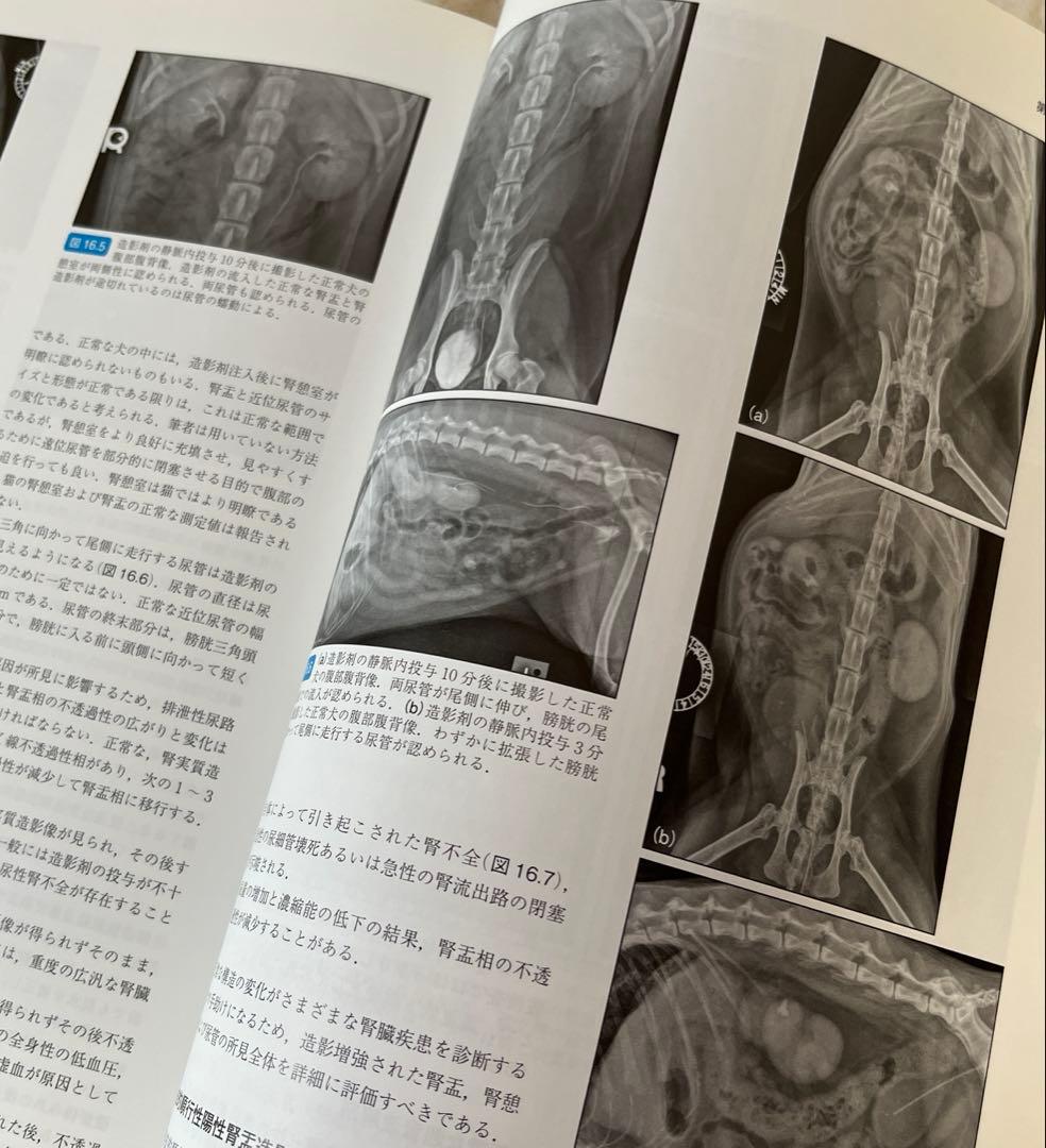 犬と猫の腹部画像診断マニュアル　エコー　X線