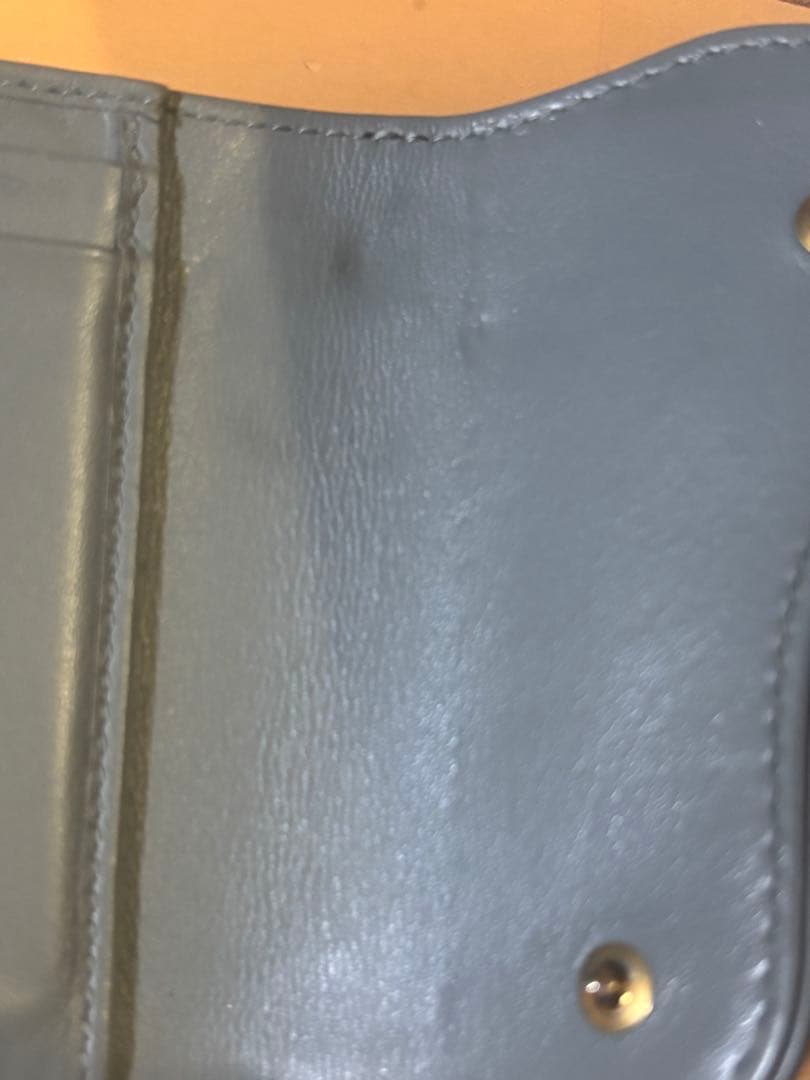 DIOR Saddle Lotus ウォレット　財布