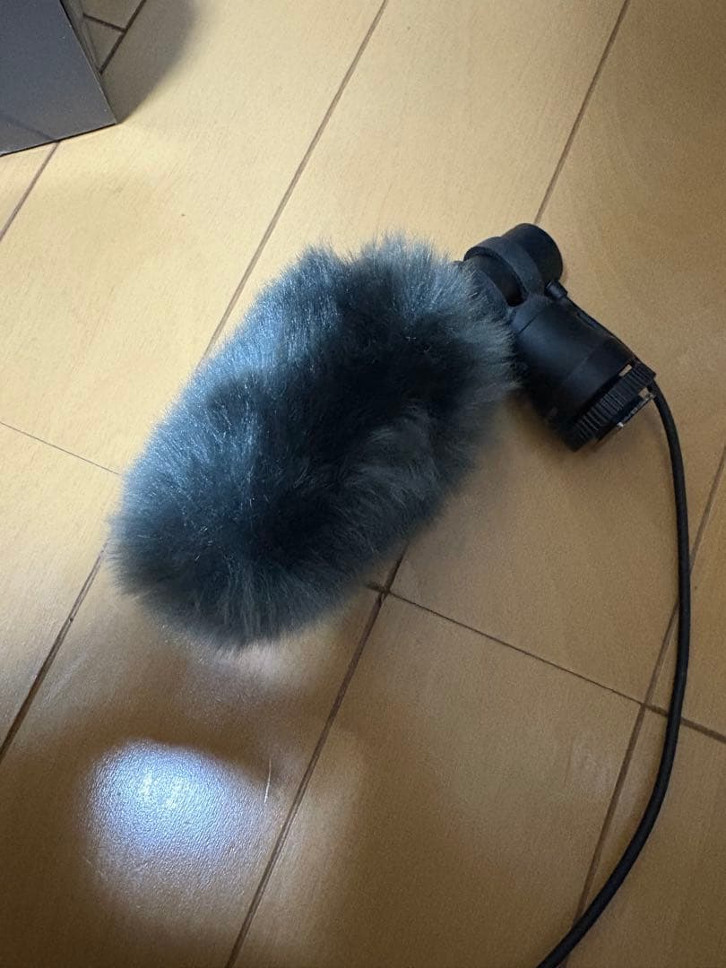 【指向性マイク】canon DM E100