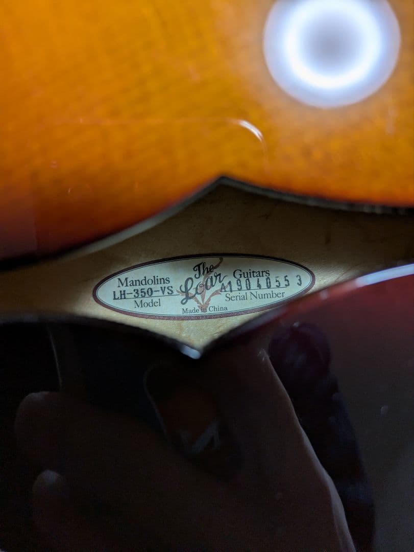 Loar LH-350 VS　Top単板フルアコ