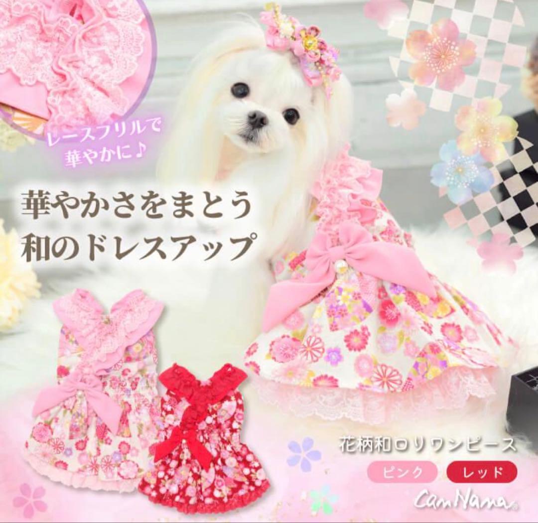 きゃんナナ　花柄和ロりワンピー+バレッタ　新品　SM ピンク