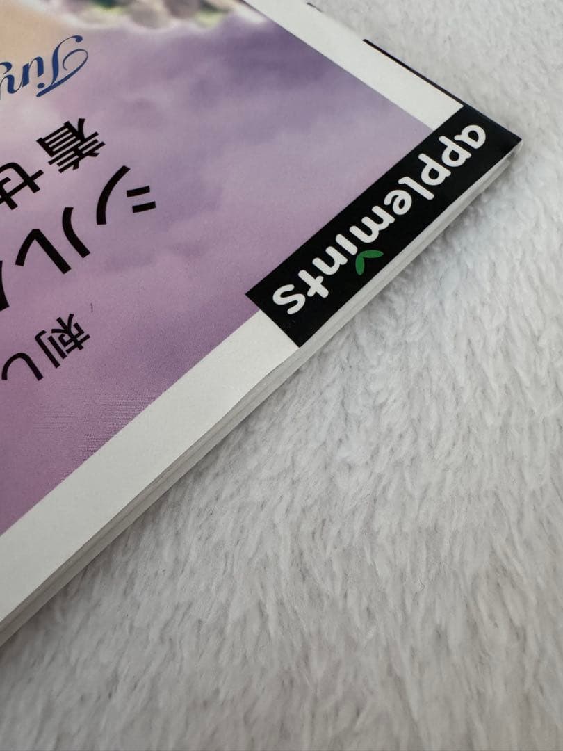 刺しゅう糸で編むかぎ針編み　シルバニアファミリーの本、2冊まとめ売り