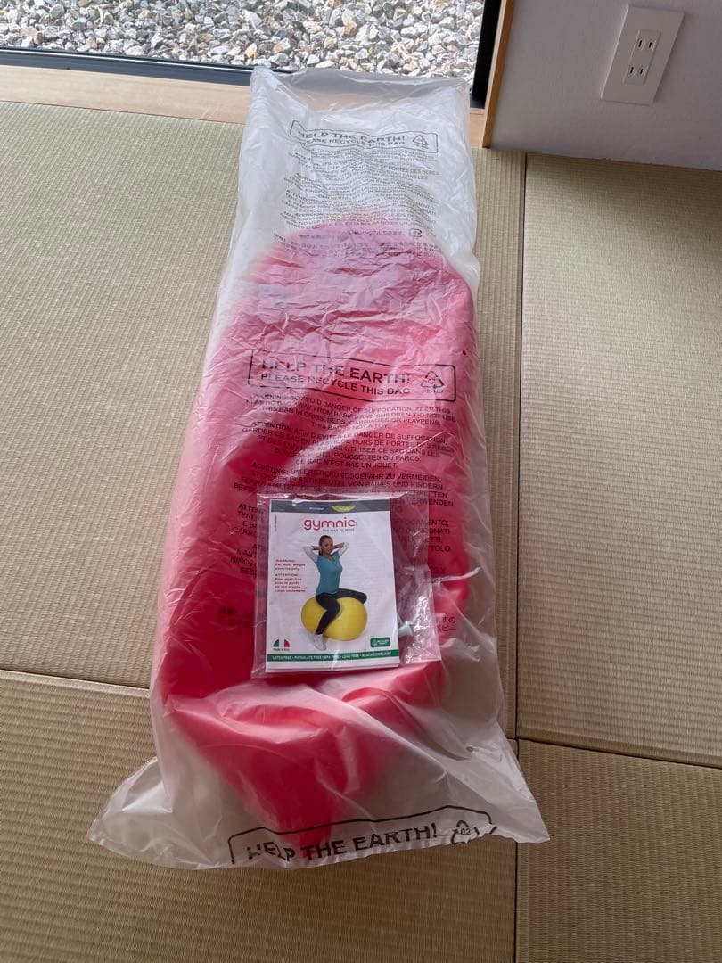 Gymnic PhysioRoll ギムニク フィジオロール 40cm