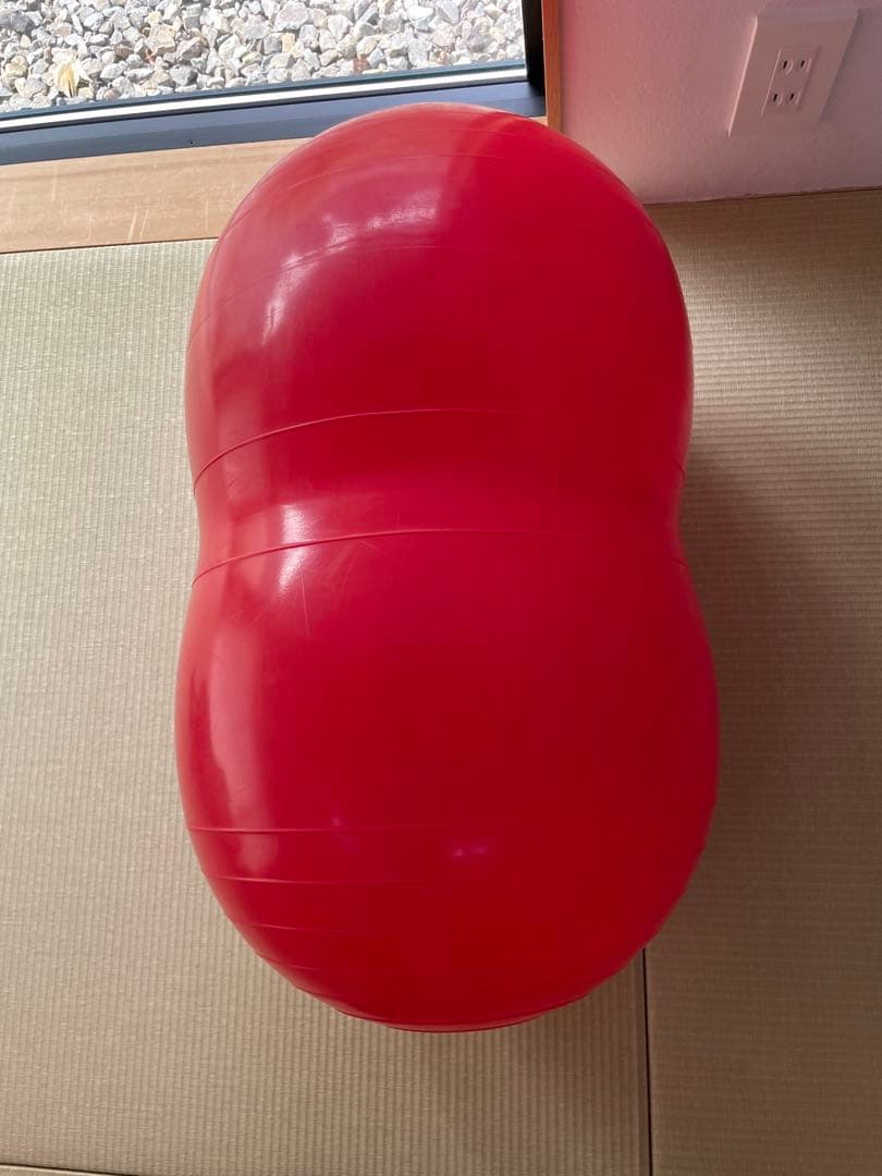 Gymnic PhysioRoll ギムニク フィジオロール 40cm