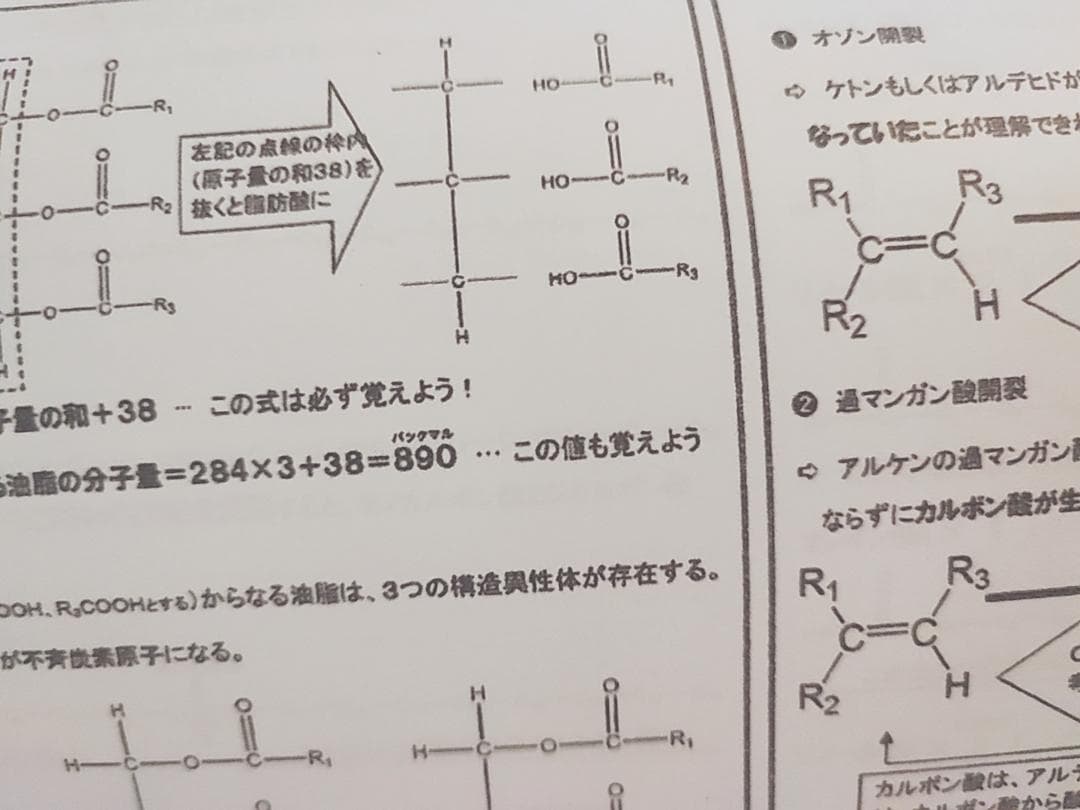 駿台　天然有機物と高分子化合物　プリントフルセット　山下先生　河合塾　鉄緑会