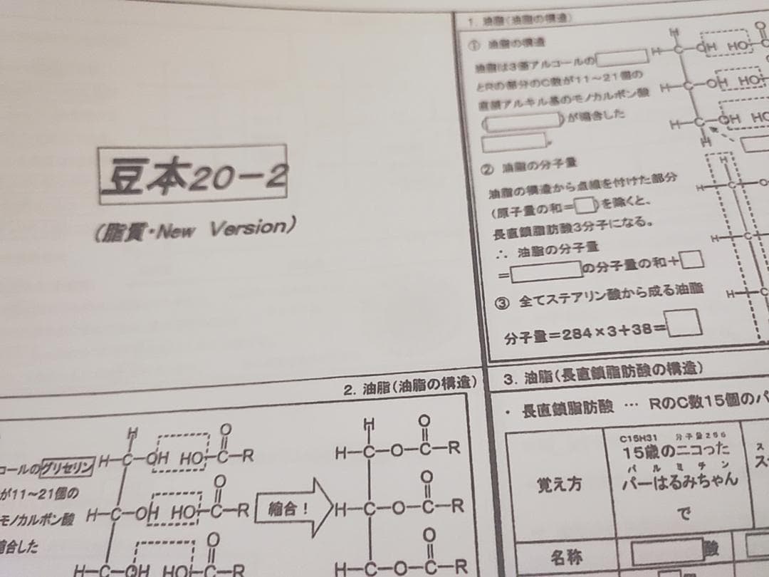 駿台　天然有機物と高分子化合物　プリントフルセット　山下先生　河合塾　鉄緑会