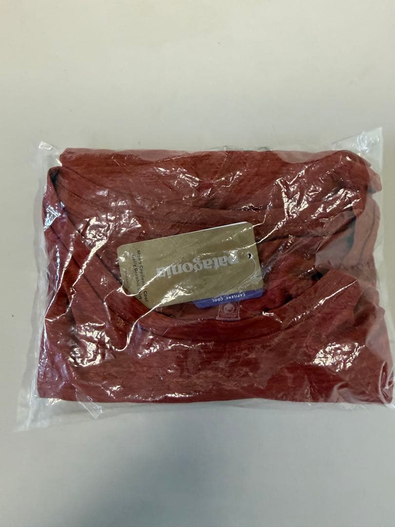 パタゴニア キャプリーンクールデイリー Tシャツ LサイズLIVE SIMPLY