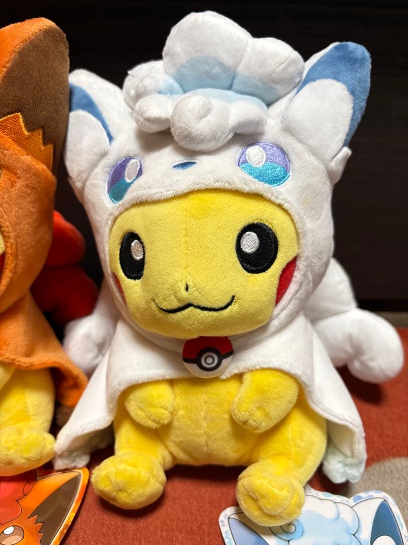 タグ付き ポンチョを着たピカチュウ ロコン アローラロコン 2017