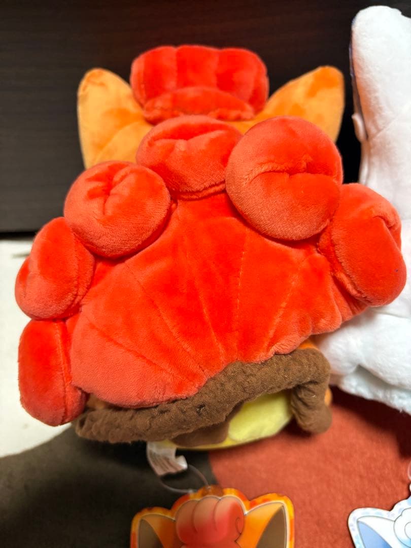 タグ付き ポンチョを着たピカチュウ ロコン アローラロコン 2017