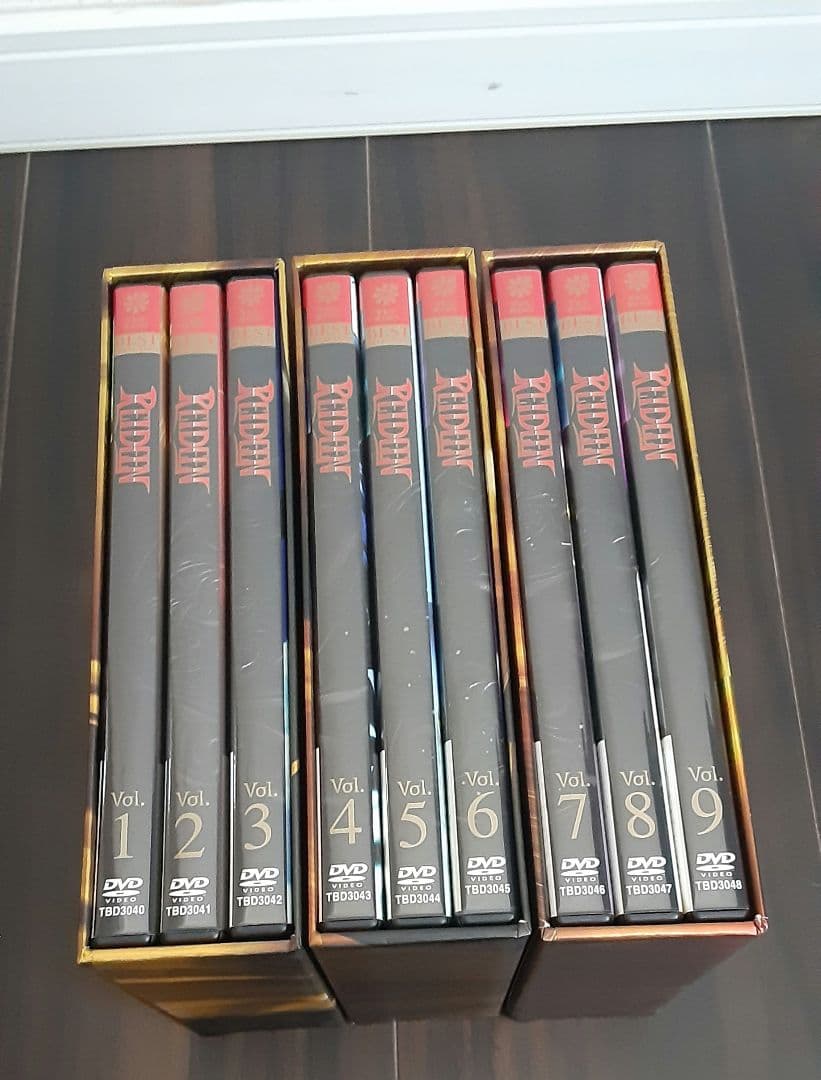 ライディーン　 DVD　９巻セット