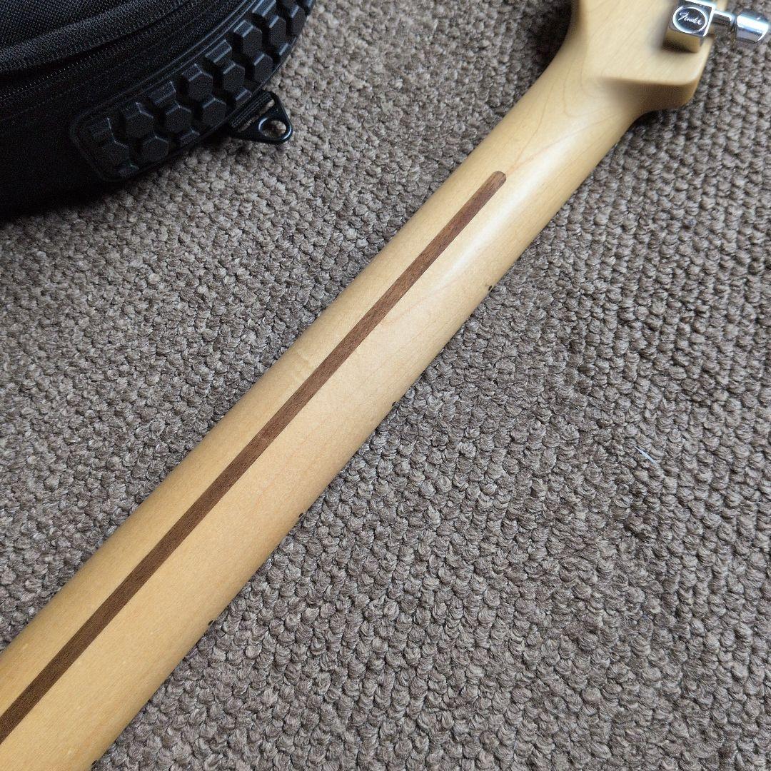 Fender American Professional 2018 オマケ多数