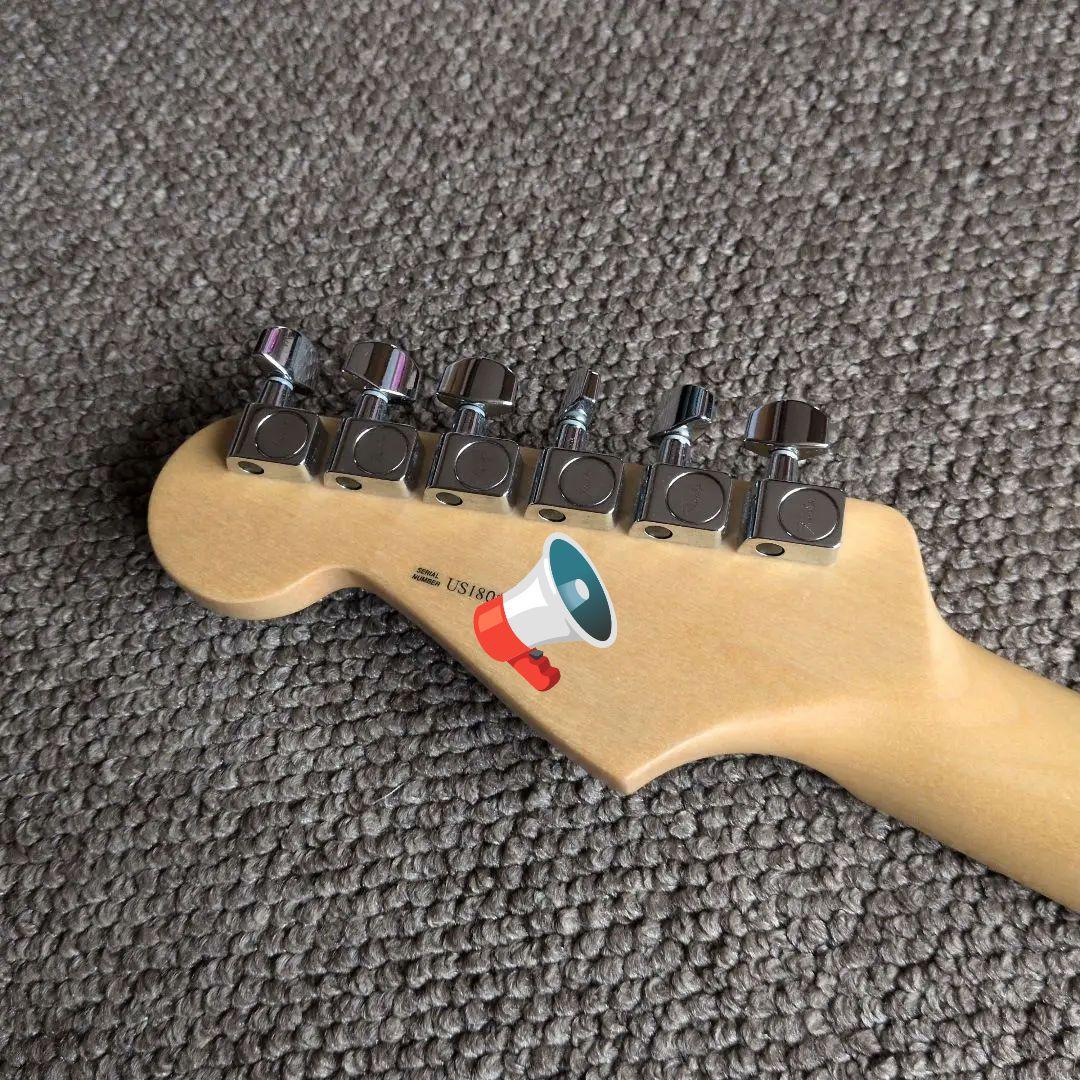 Fender American Professional 2018 オマケ多数
