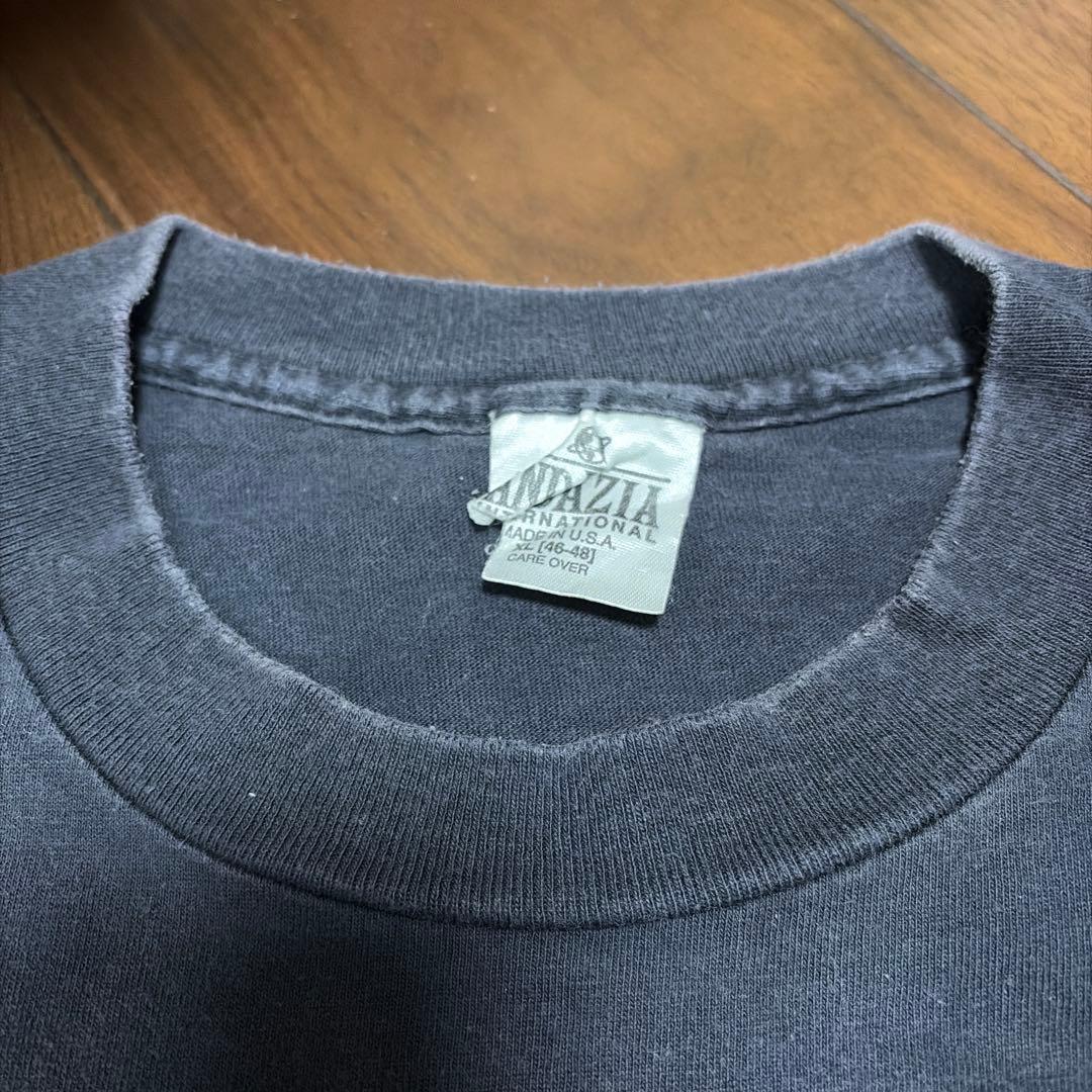 90s アルベルト アインシュタイン USA製Tシャツ XL シングルステッチ