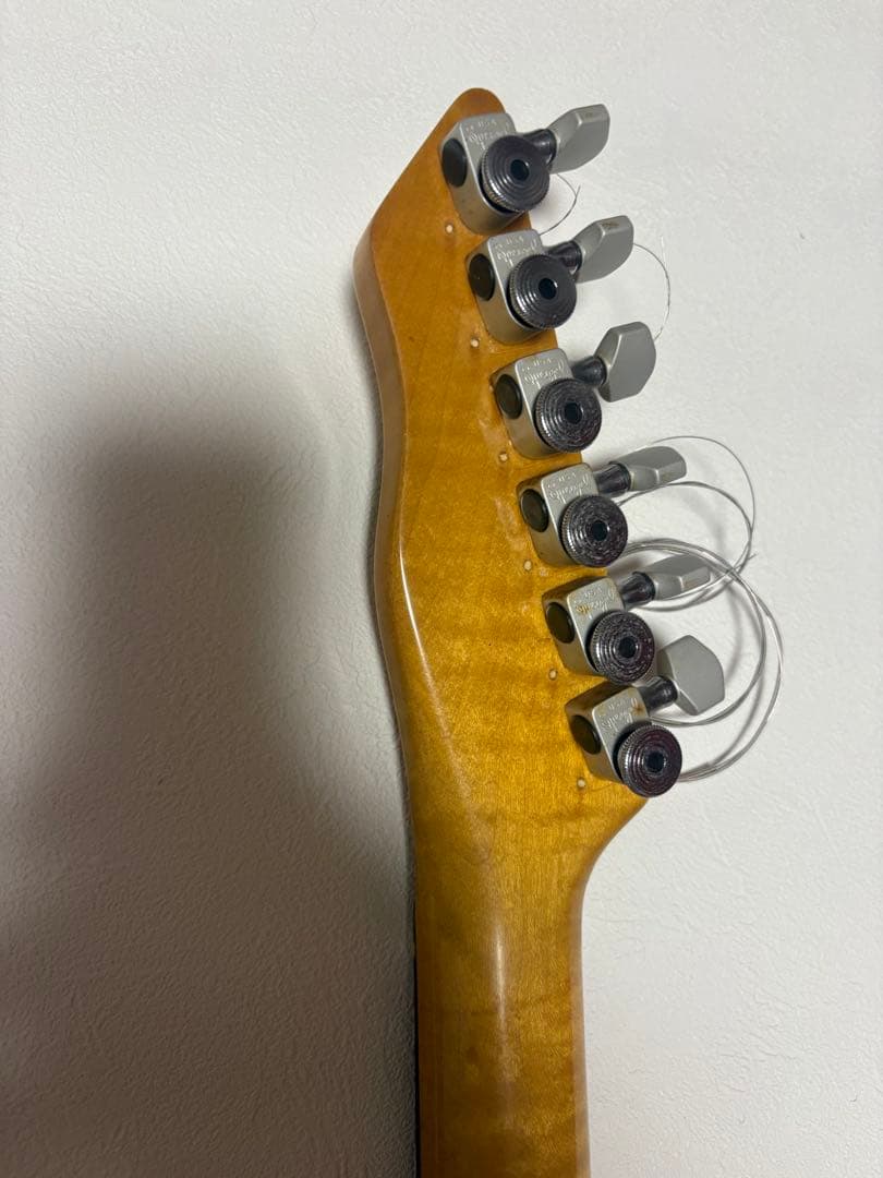 P*長様 edenhaus custom guitar ストラト