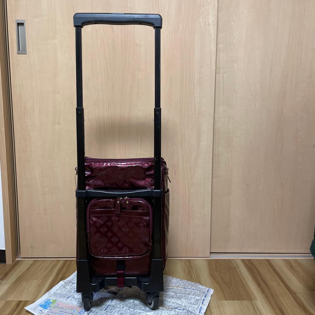 スワニー　walkin bag D-244クリオレーダ　ワインレッド 保証書あり