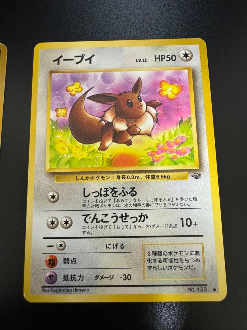 ポケモンカード　旧裏　ブラッキー　イーブイ　3枚セット　プレミアムファイル2