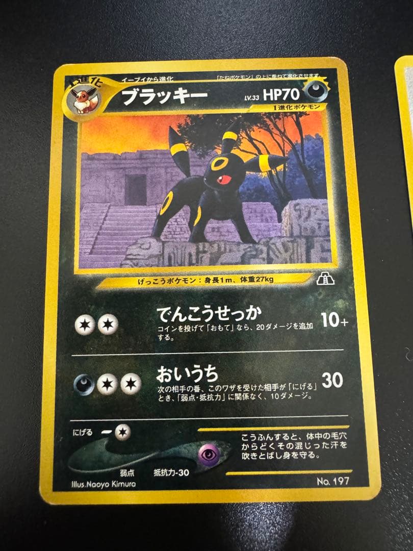ポケモンカード　旧裏　ブラッキー　イーブイ　3枚セット　プレミアムファイル2