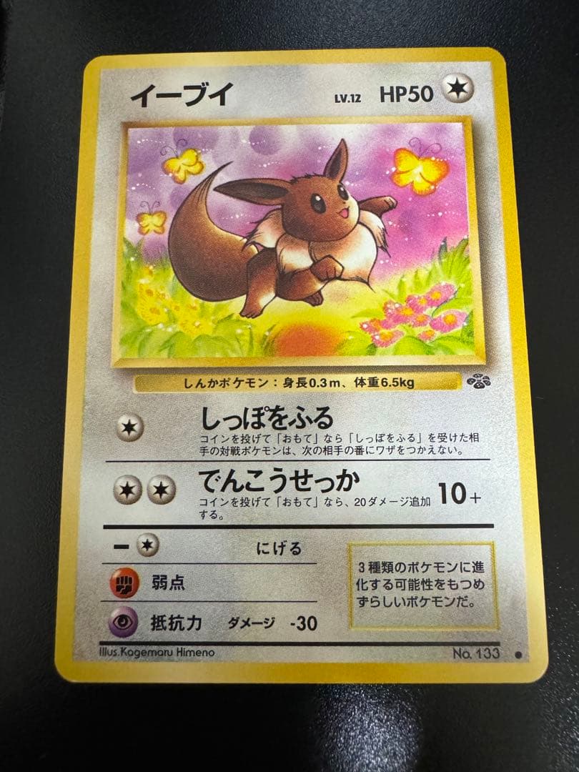 ポケモンカード　旧裏　ブラッキー　イーブイ　3枚セット　プレミアムファイル2