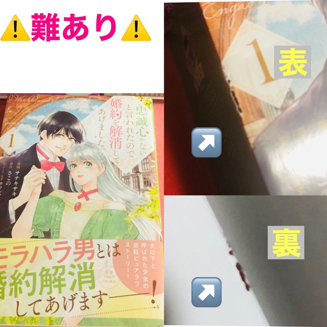 No.③新作、準新作、その他、おまとめ★バラ希望の方2冊〜★同送割3冊〜4冊可