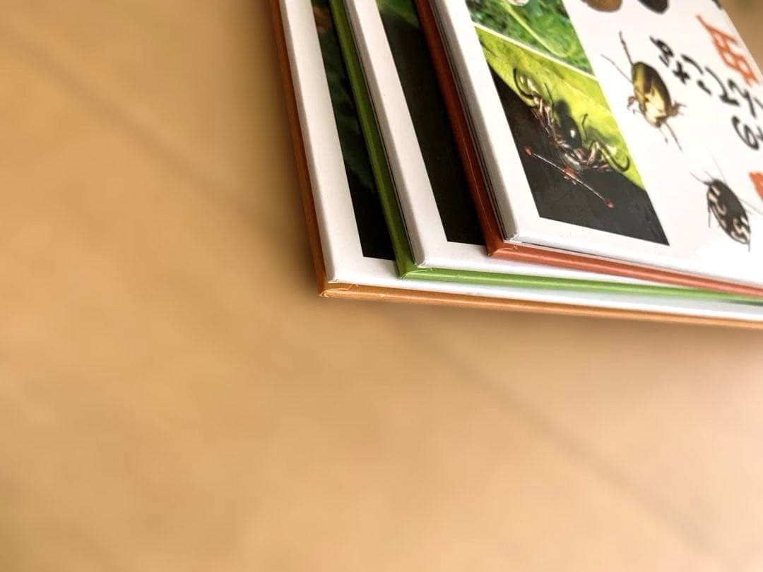 【初版・良品】 昆虫本 　虫っておもしろい！シリーズ3冊セット