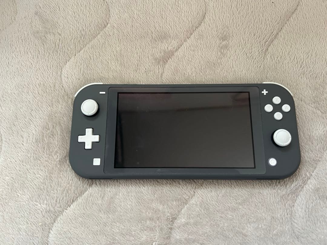 n*n様 Nintendo Switch Light 本体