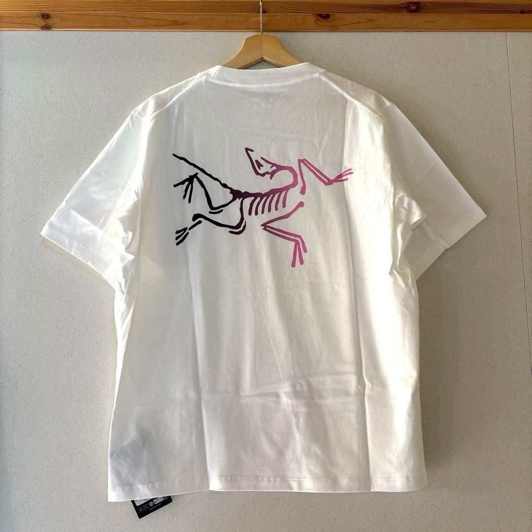 【新品】ARC'TERYX Kragg Cotton Logo SS 白