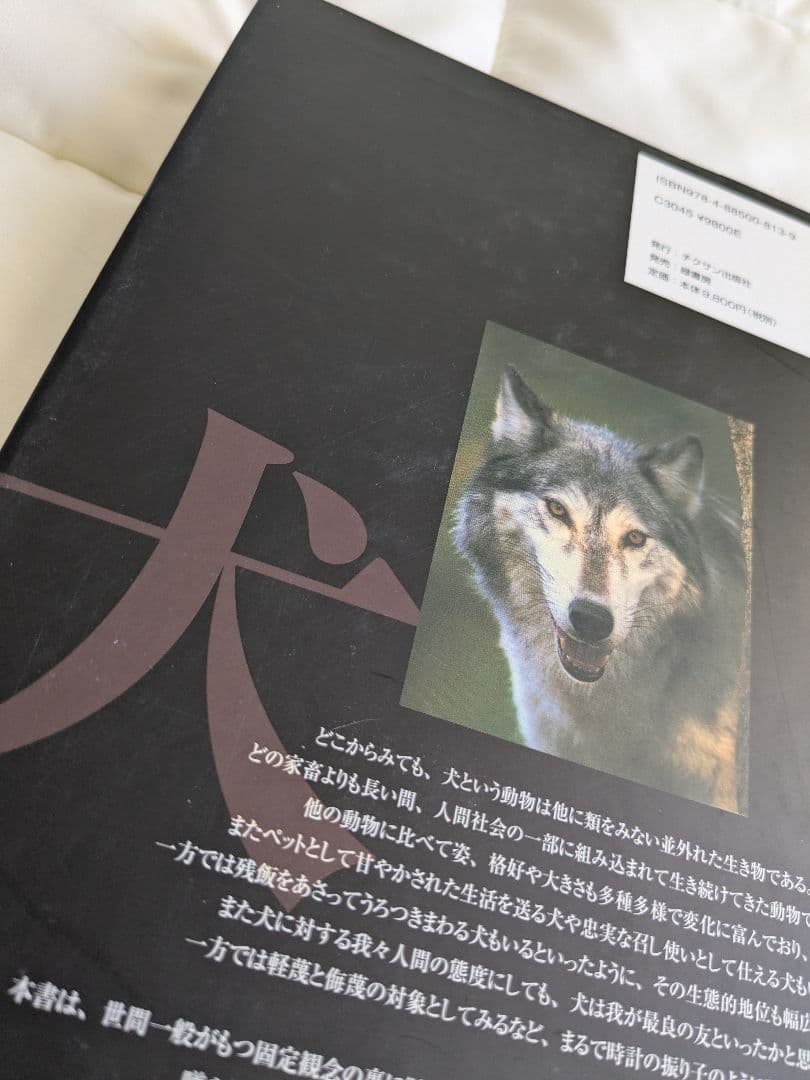 ドメスティックドッグ　犬 その進化,行動,人との関係