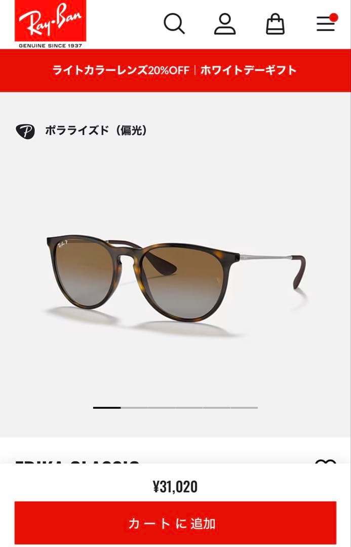 レイバン 偏光サングラス ERIKA Classicモデル