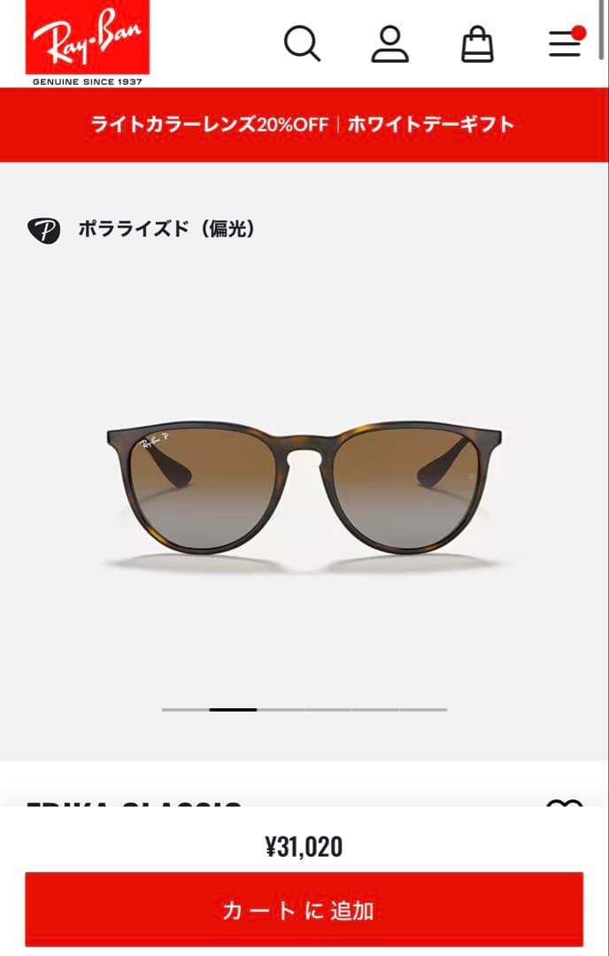 レイバン 偏光サングラス ERIKA Classicモデル