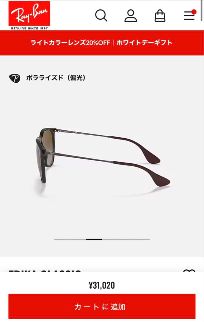 レイバン 偏光サングラス ERIKA Classicモデル