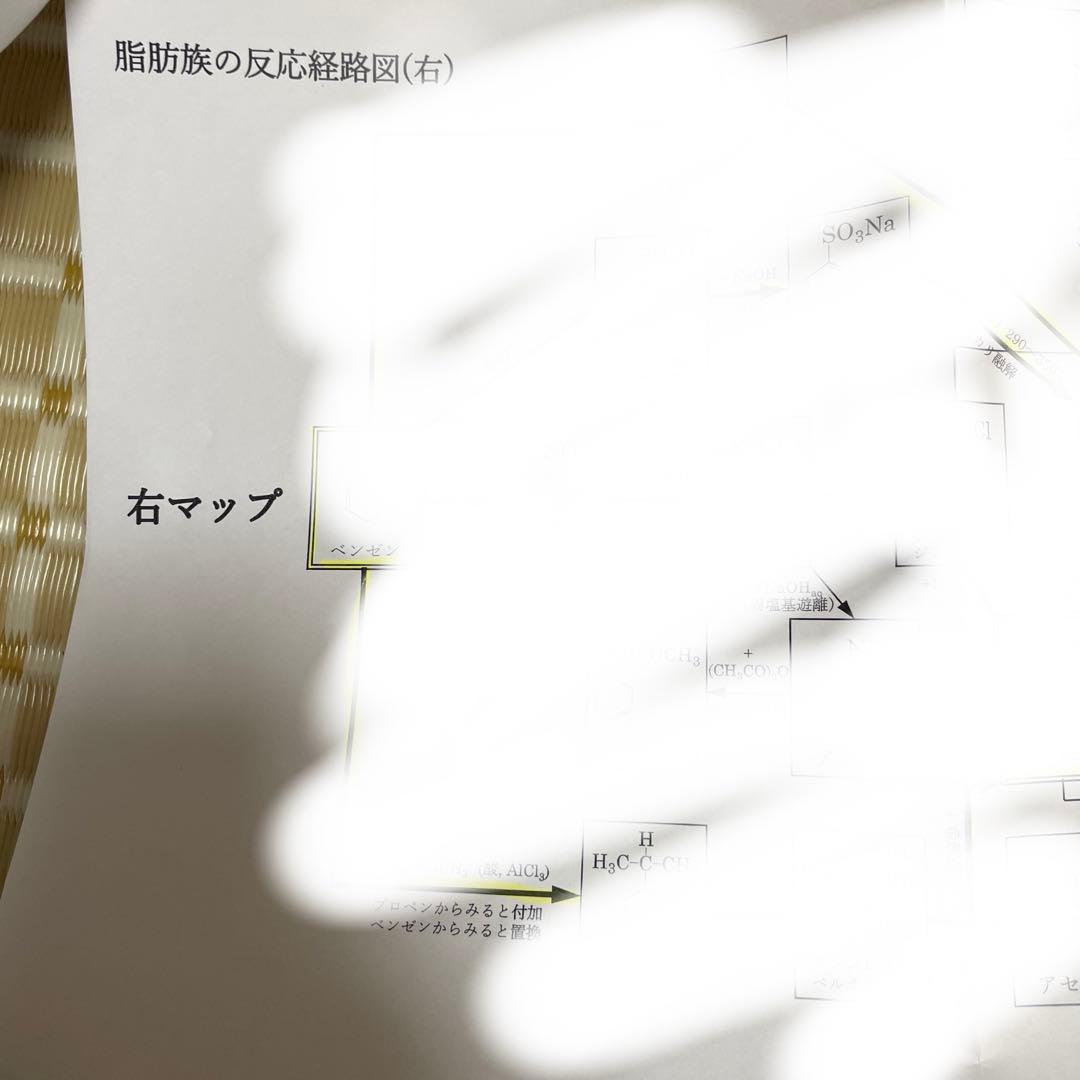 駿台 化学特講Ⅰ〜Ⅲ,冬季 増田(井龍)先生 計算•無機化学•有機化学•総合