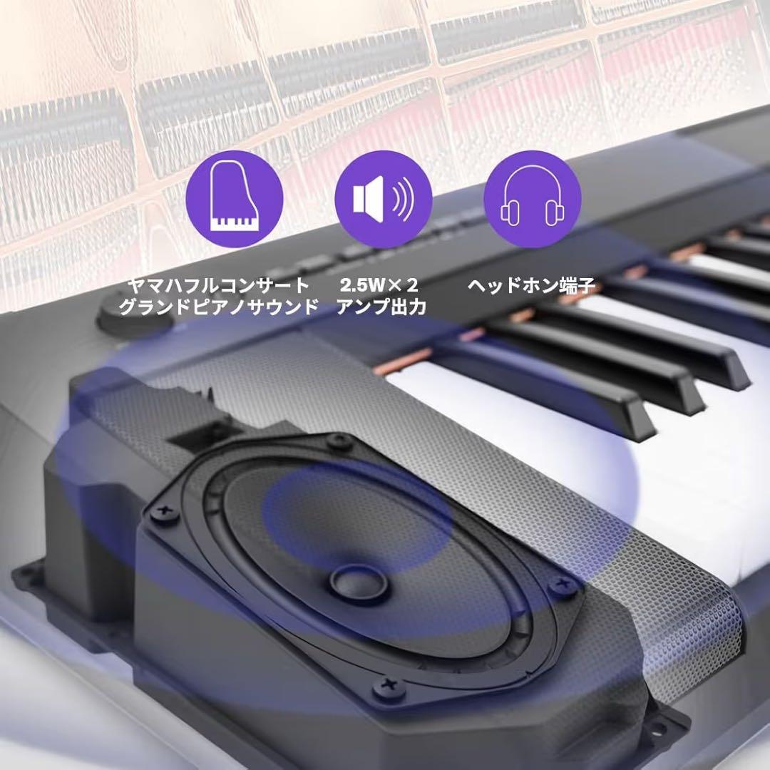 【シナノキ】YAMAHA piaggero NP-15B