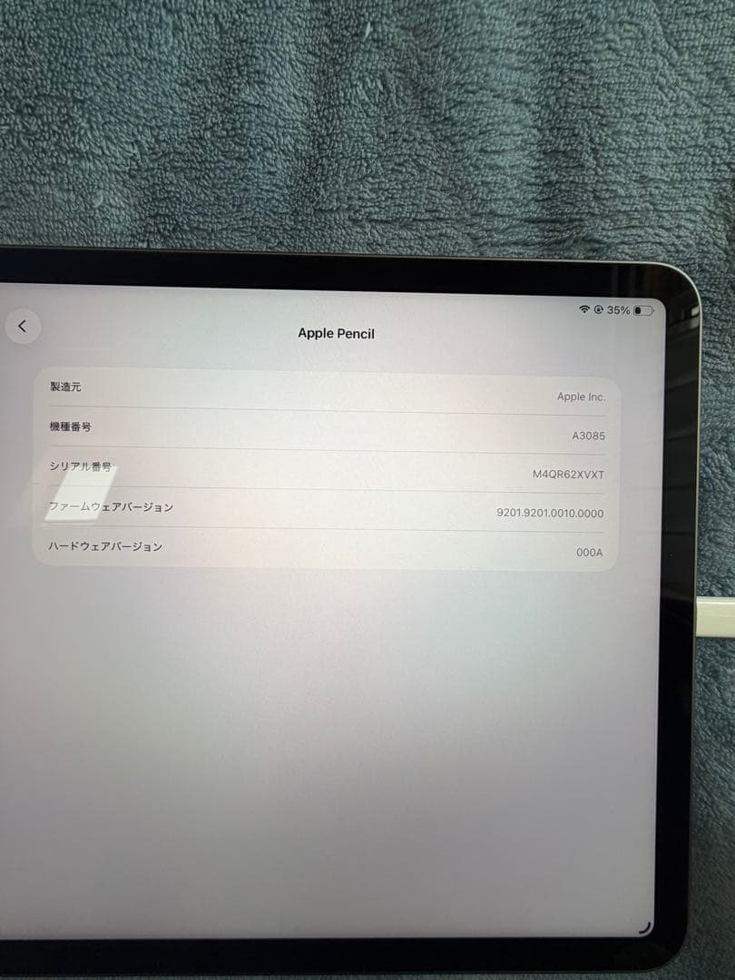 n*e様 Apple Pencil USB-Cタイプ