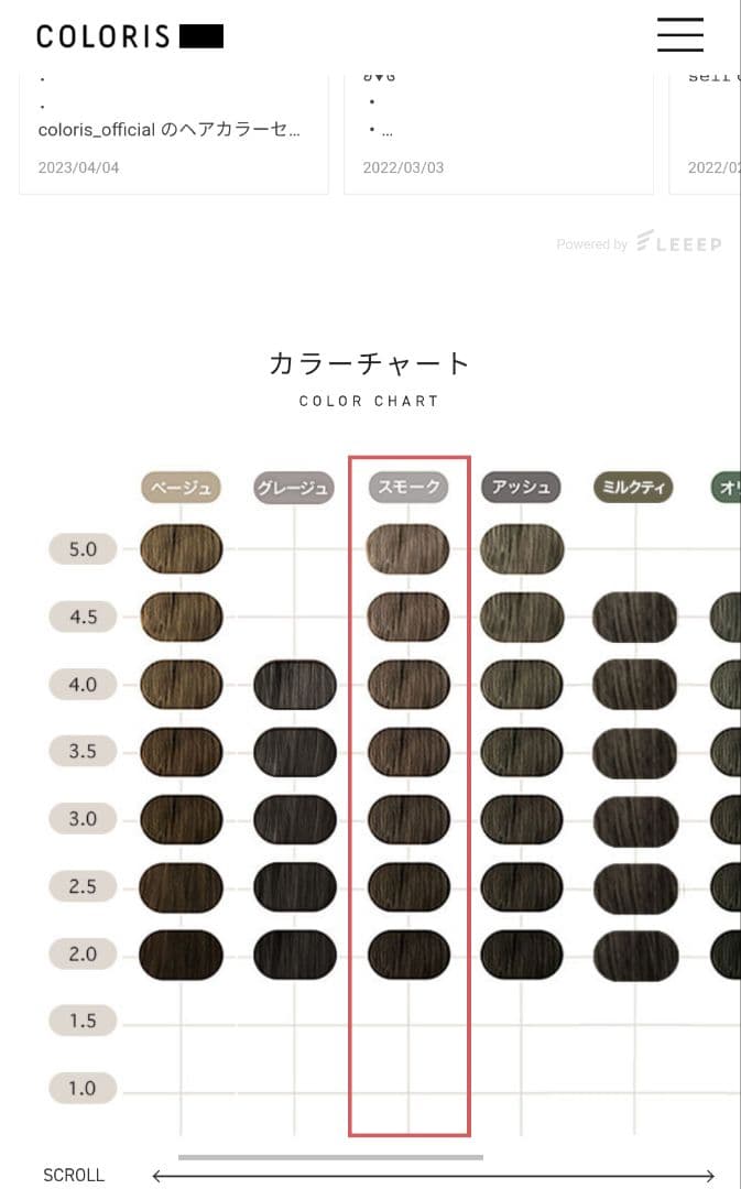 COLORIS カラーリング剤 3個セット