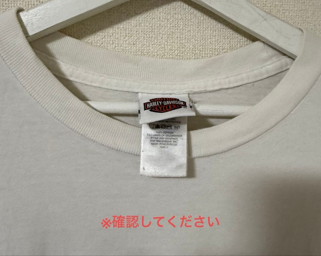 Harley-Davidson ハーレーダビッドソン 袖ファイャー ロンt