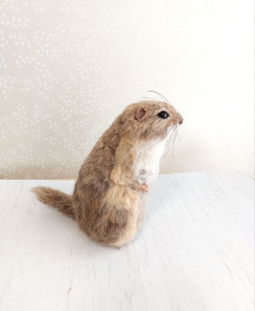 羊毛フェルト　リチャードソンジリス
