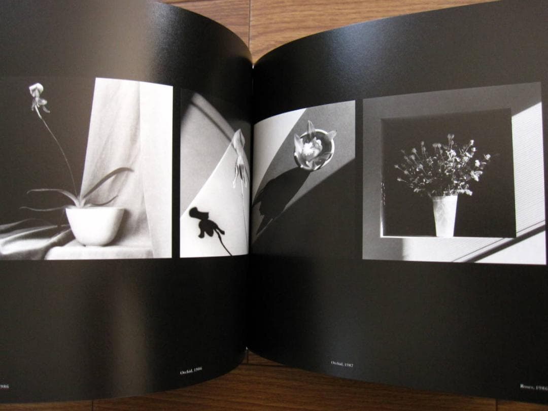 Memento Mori　Robert Mapplethorpe　メメント・モリ