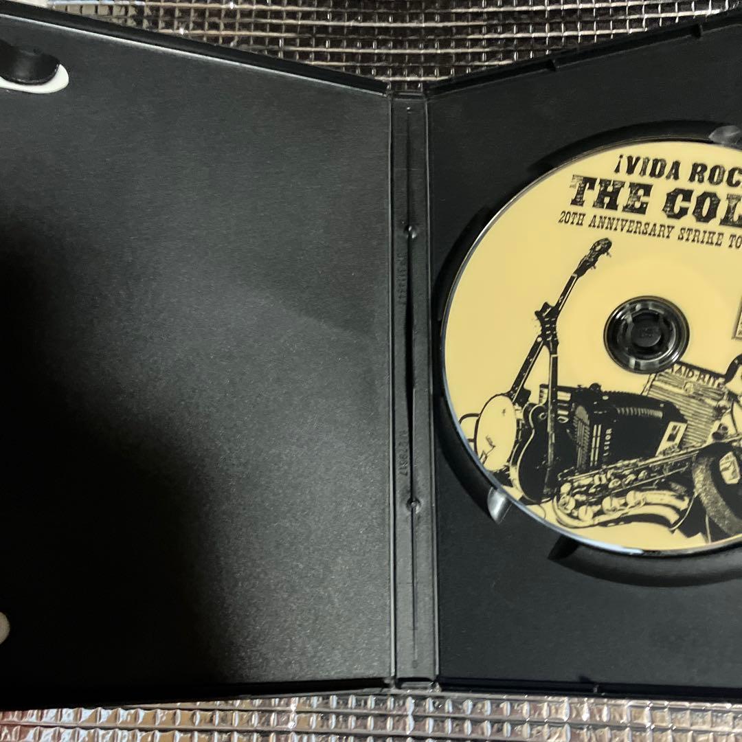 THE COLTS 「VIDA ROCA 」 DVD マックショウ