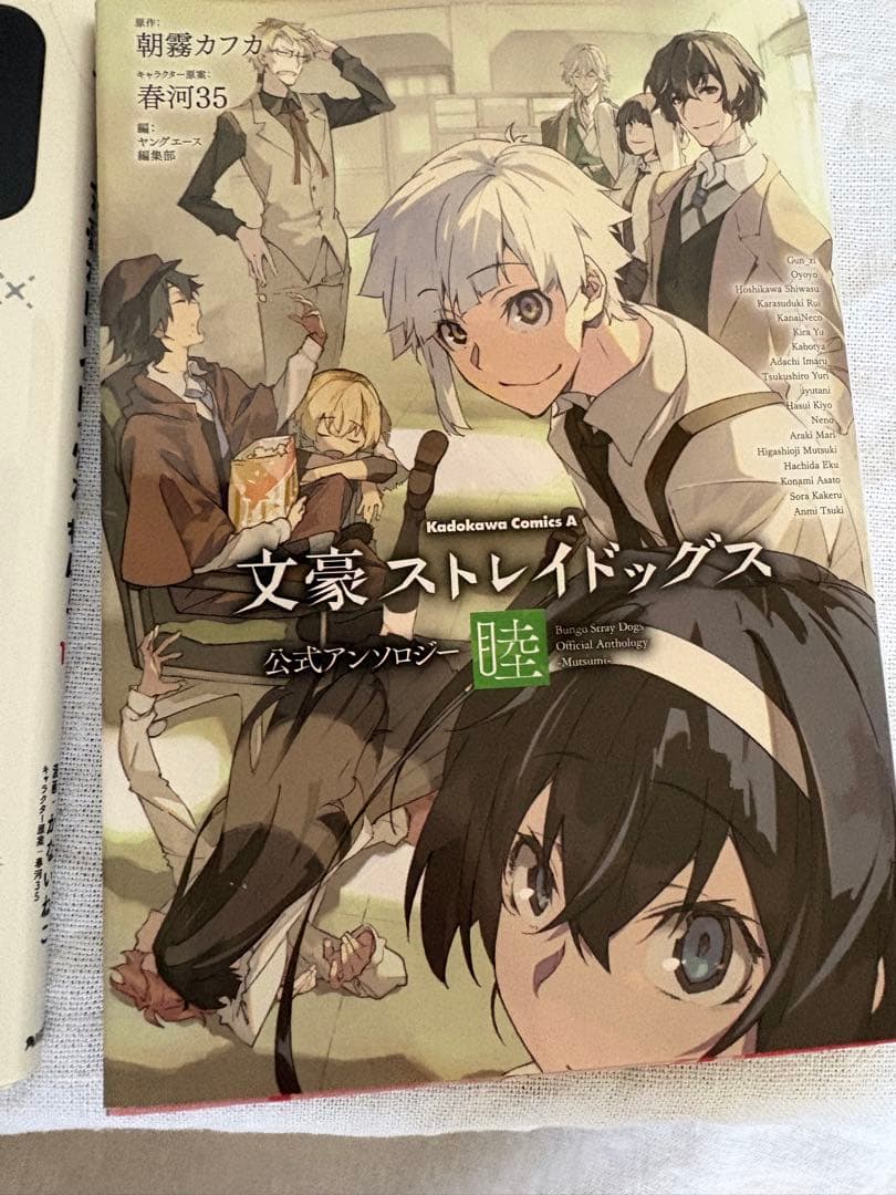文豪ストレイドッグス 1〜25巻&公式アンソロジー他付き