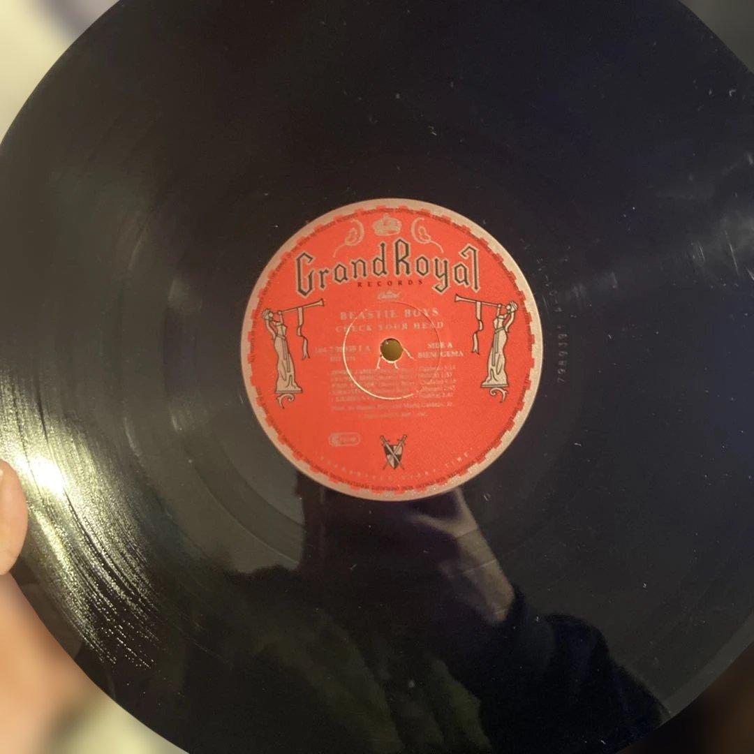 Beastie Boys - Check Your Head レコード
