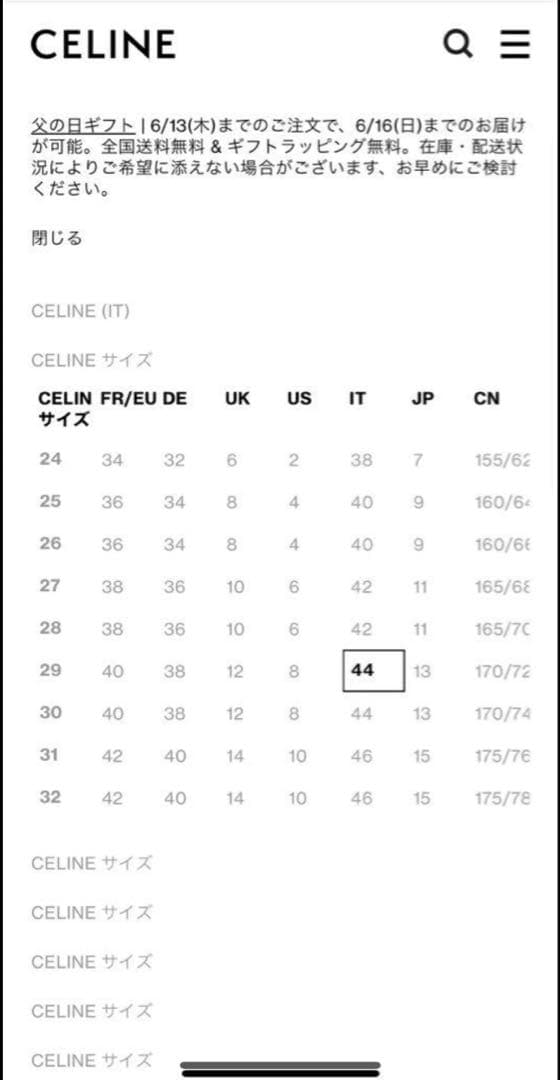 CELINE セリーヌ デニム