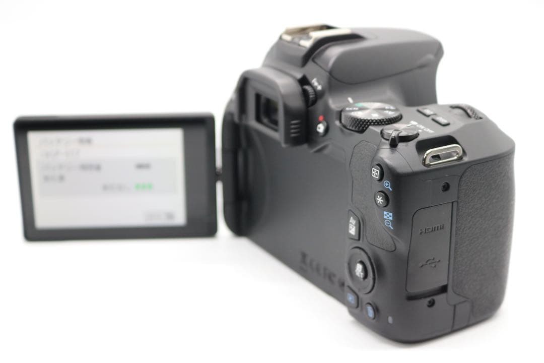 超美品ですが 【Canon EOS Kiss X10 ダブルレンズセット】