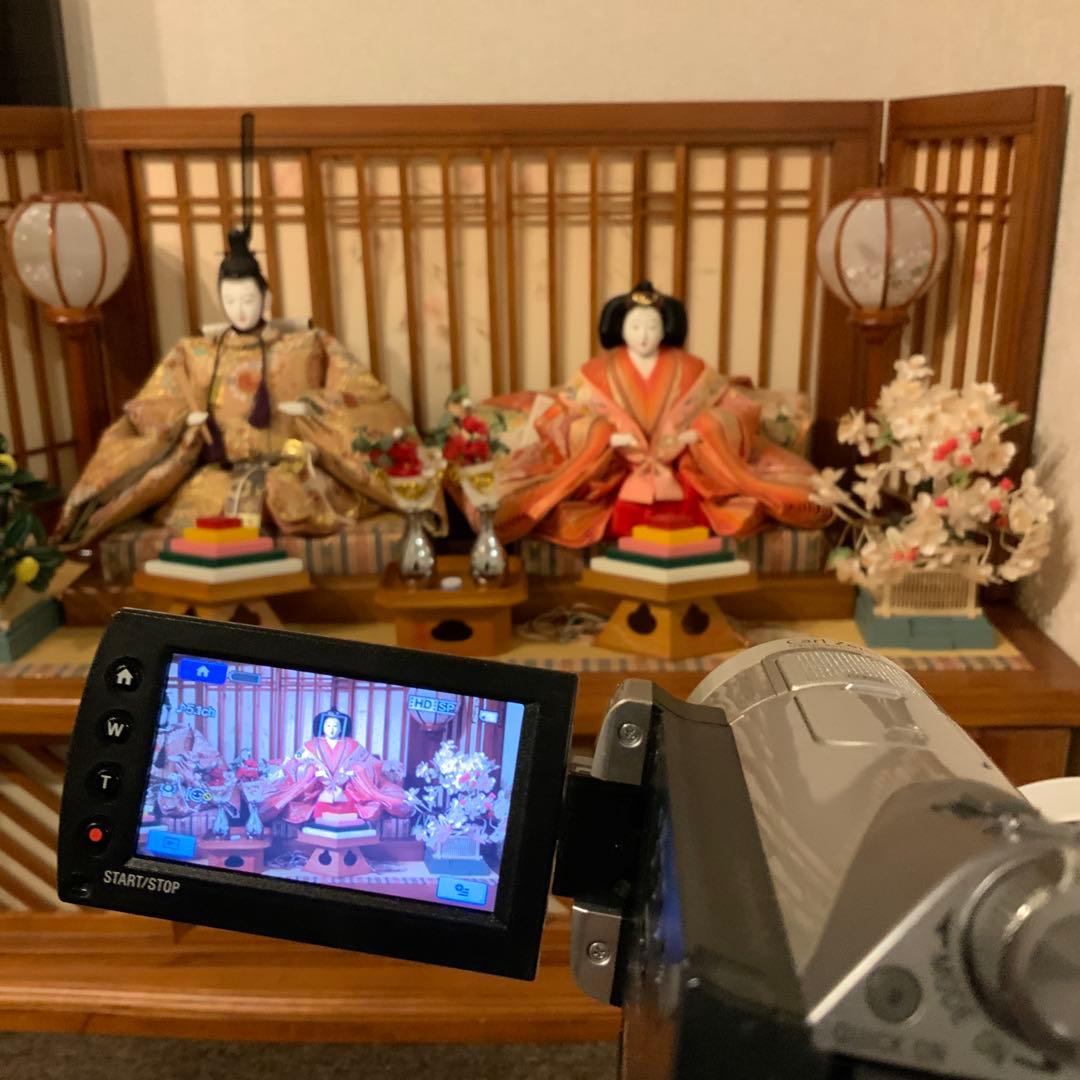 ビデオカメラ Sony Handycam HDR-CX12